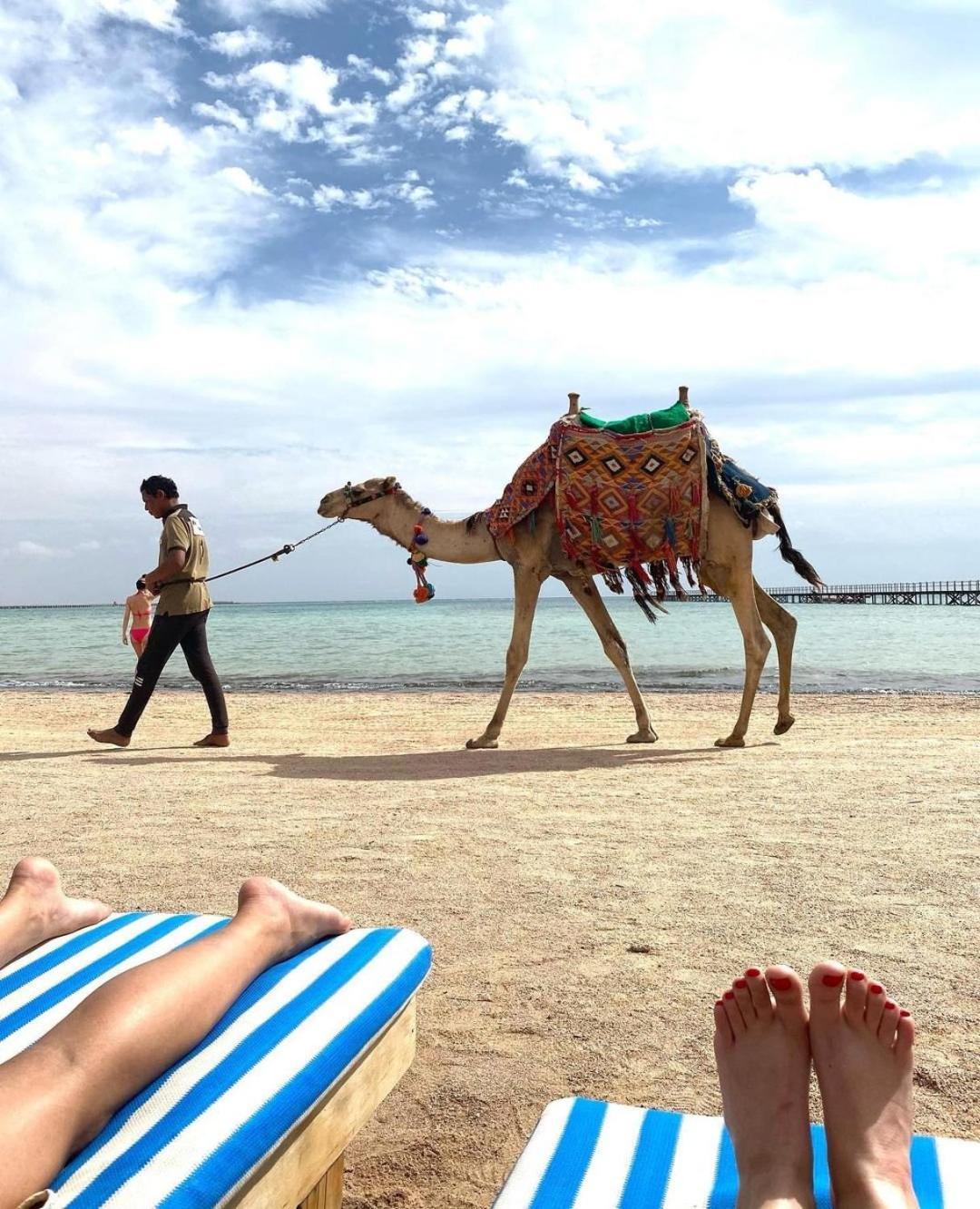 Romance Regency Club (Adults Only) Sharm El Sheikk Exterior foto